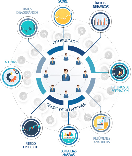 Nosis | Benefits and features